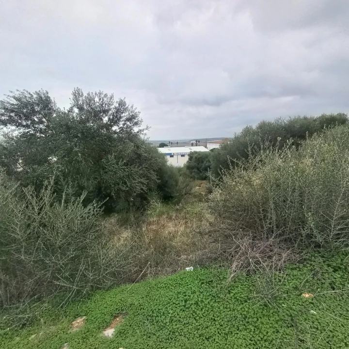 Terreno para Venda em Barbacena e Vila Fernando Foto 23