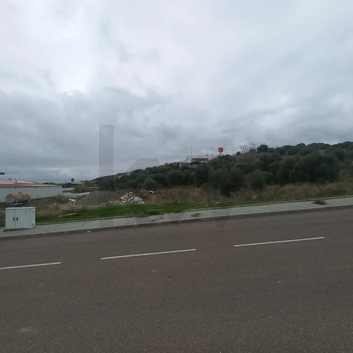 Terreno para Venda em Barbacena e Vila Fernando Foto 7