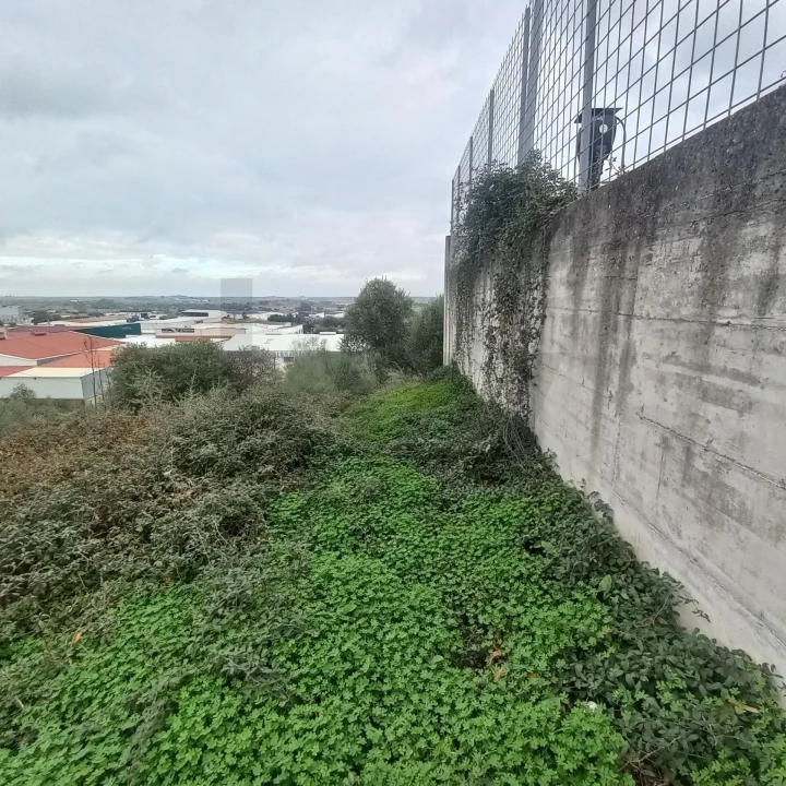 Terreno para Venda em Barbacena e Vila Fernando Foto 28