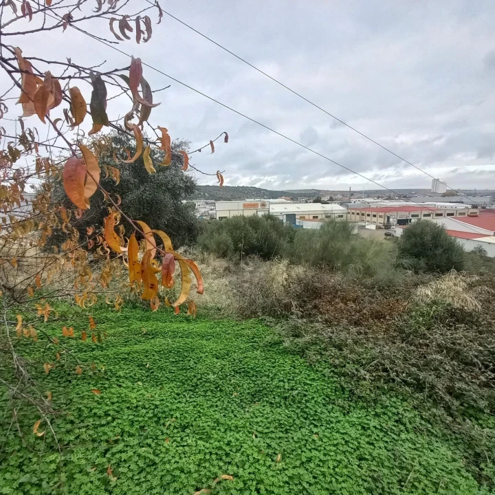 Terreno para Venda em Barbacena e Vila Fernando Foto 26