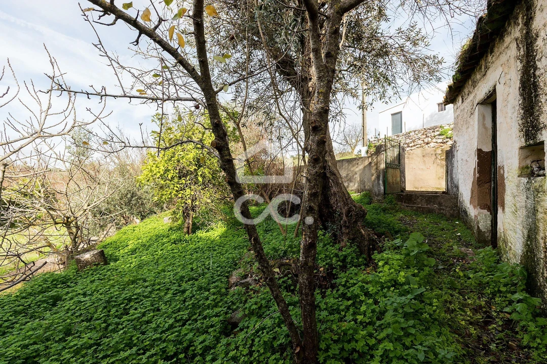 Moradia T5 para Venda em Pardais Foto 4