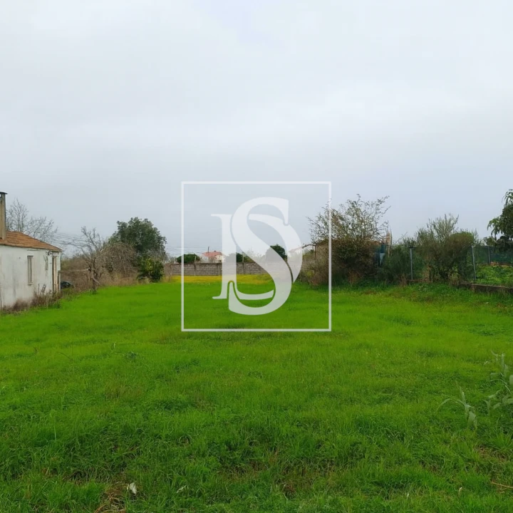 Terreno para Venda em Lavos Foto 6