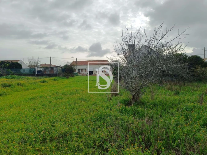 Terreno para Venda em Lavos Foto 3