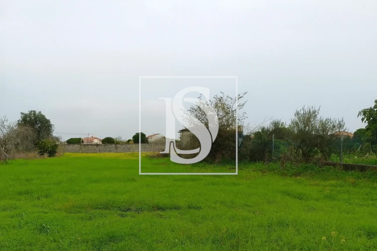 Terreno para Venda em Lavos Foto 2