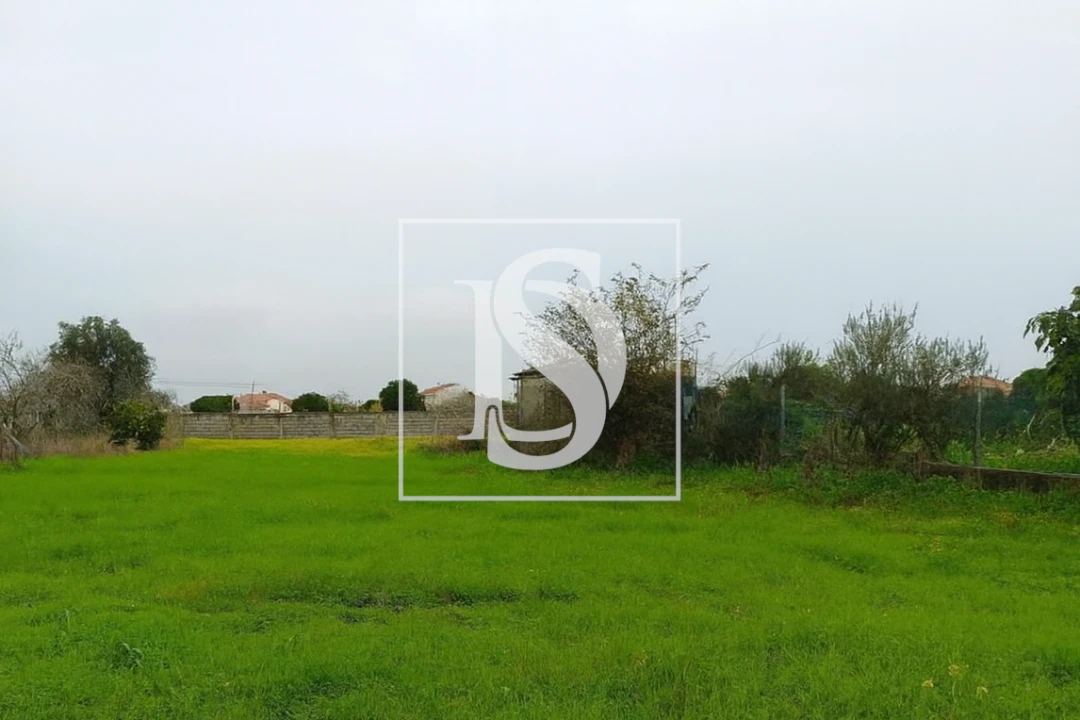 Terreno para Venda em Lavos Foto 2