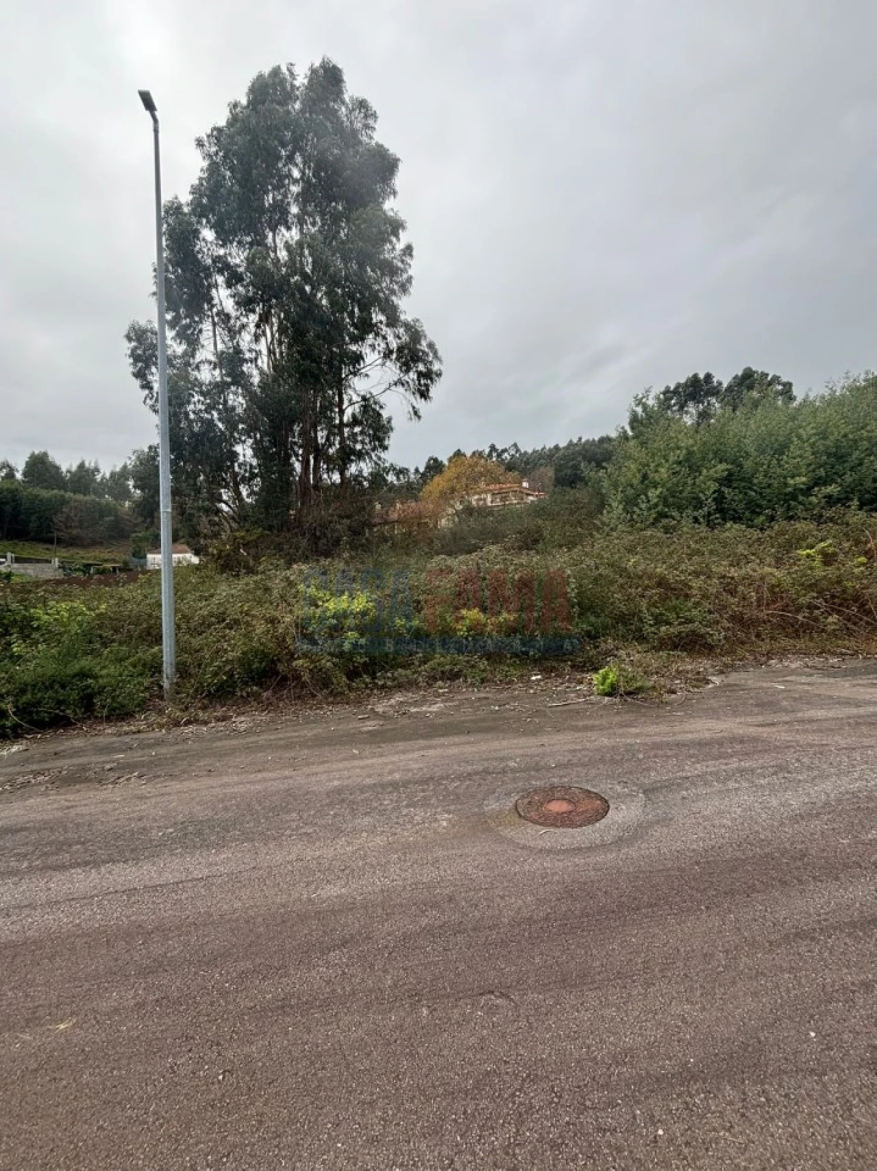 Terreno para Venda em Escariz (São Mamede) e Escariz (São Martinho) Foto 5