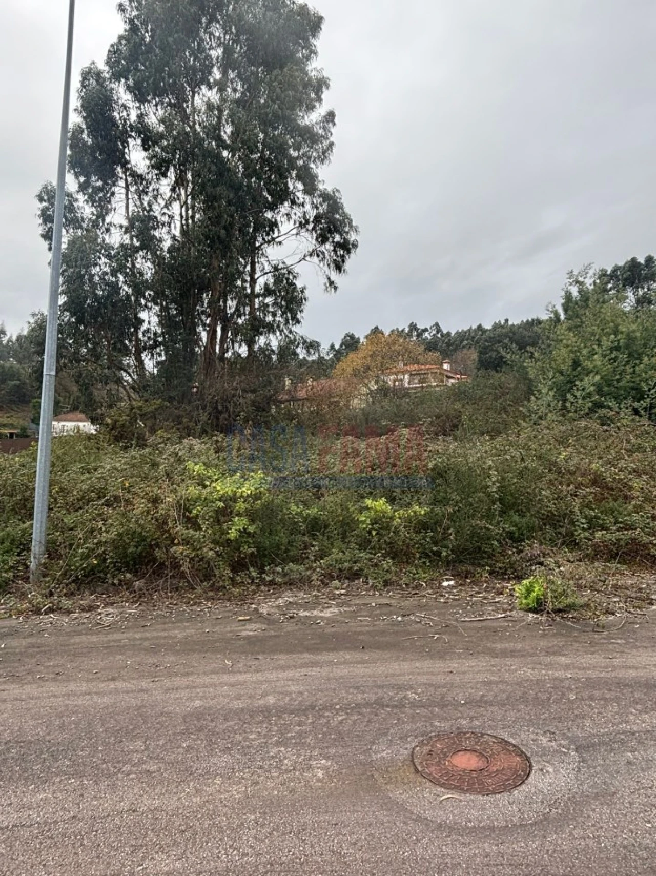 Terreno para Venda em Escariz (São Mamede) e Escariz (São Martinho) Foto 10