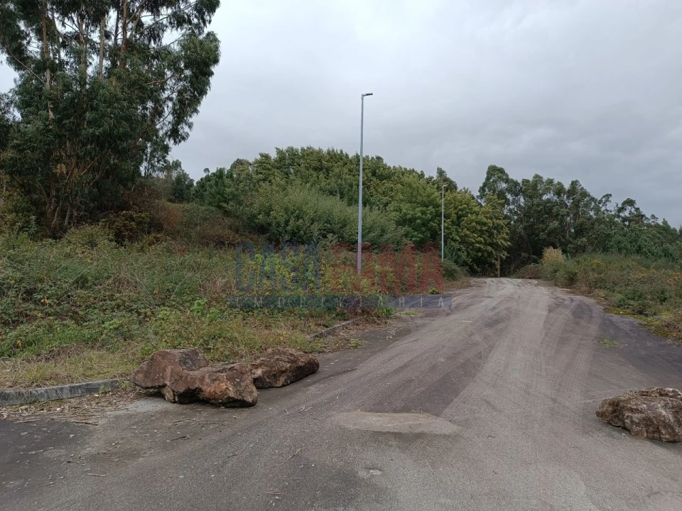 Terreno para Venda em Escariz (São Mamede) e Escariz (São Martinho) Foto 17