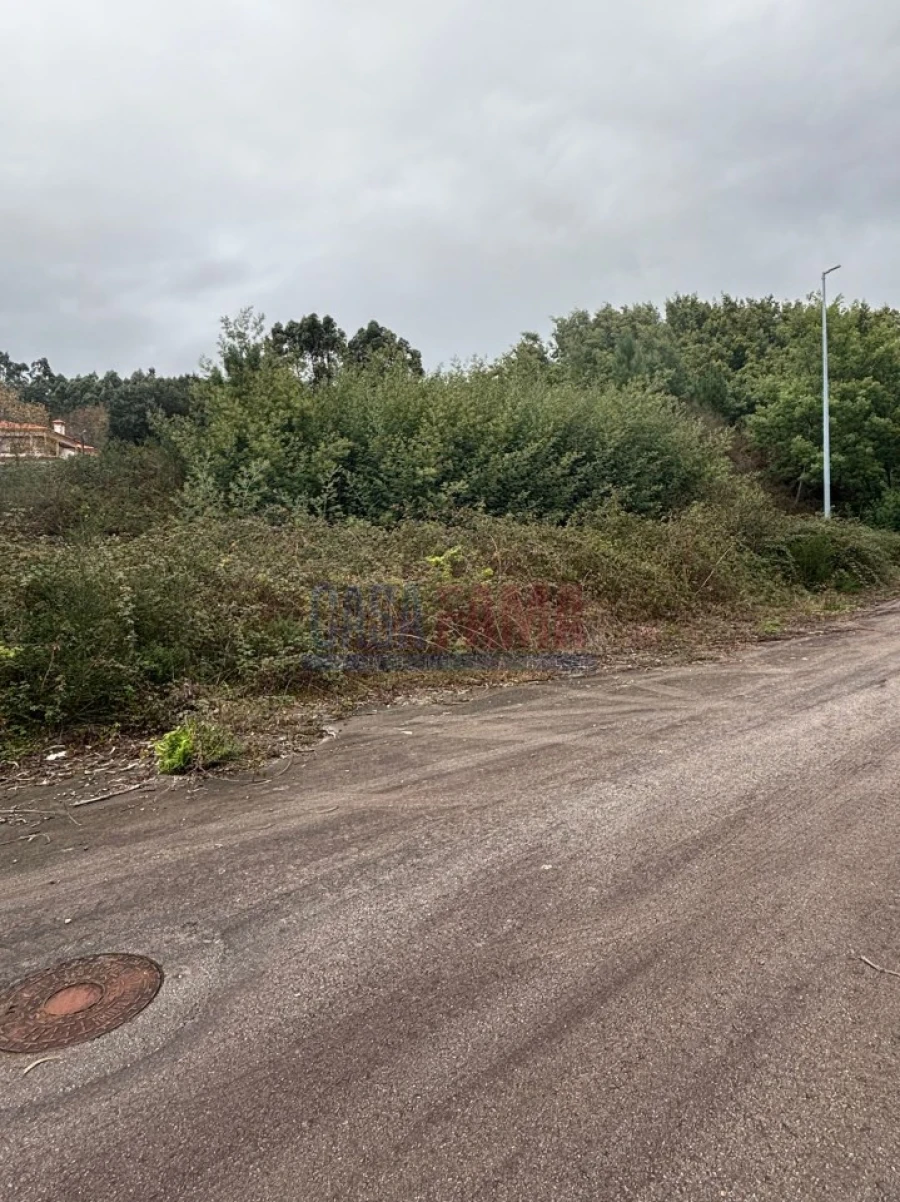 Terreno para Venda em Escariz (São Mamede) e Escariz (São Martinho) Foto 16