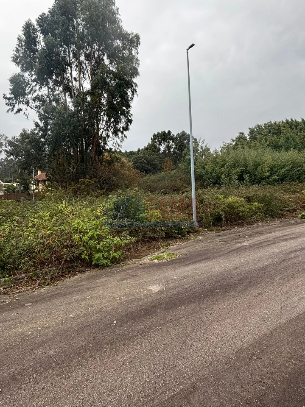 Terreno para Venda em Escariz (São Mamede) e Escariz (São Martinho) Foto 21