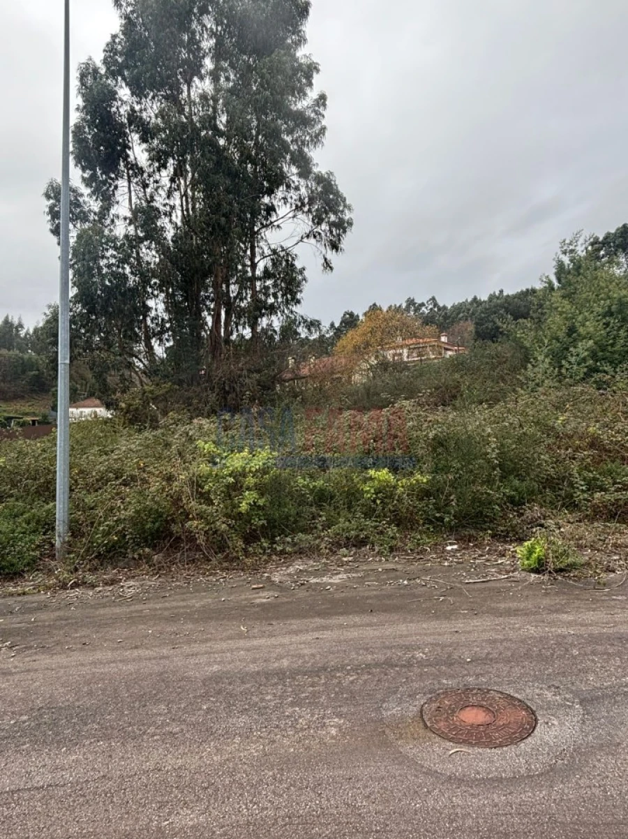 Terreno para Venda em Escariz (São Mamede) e Escariz (São Martinho) Foto 4