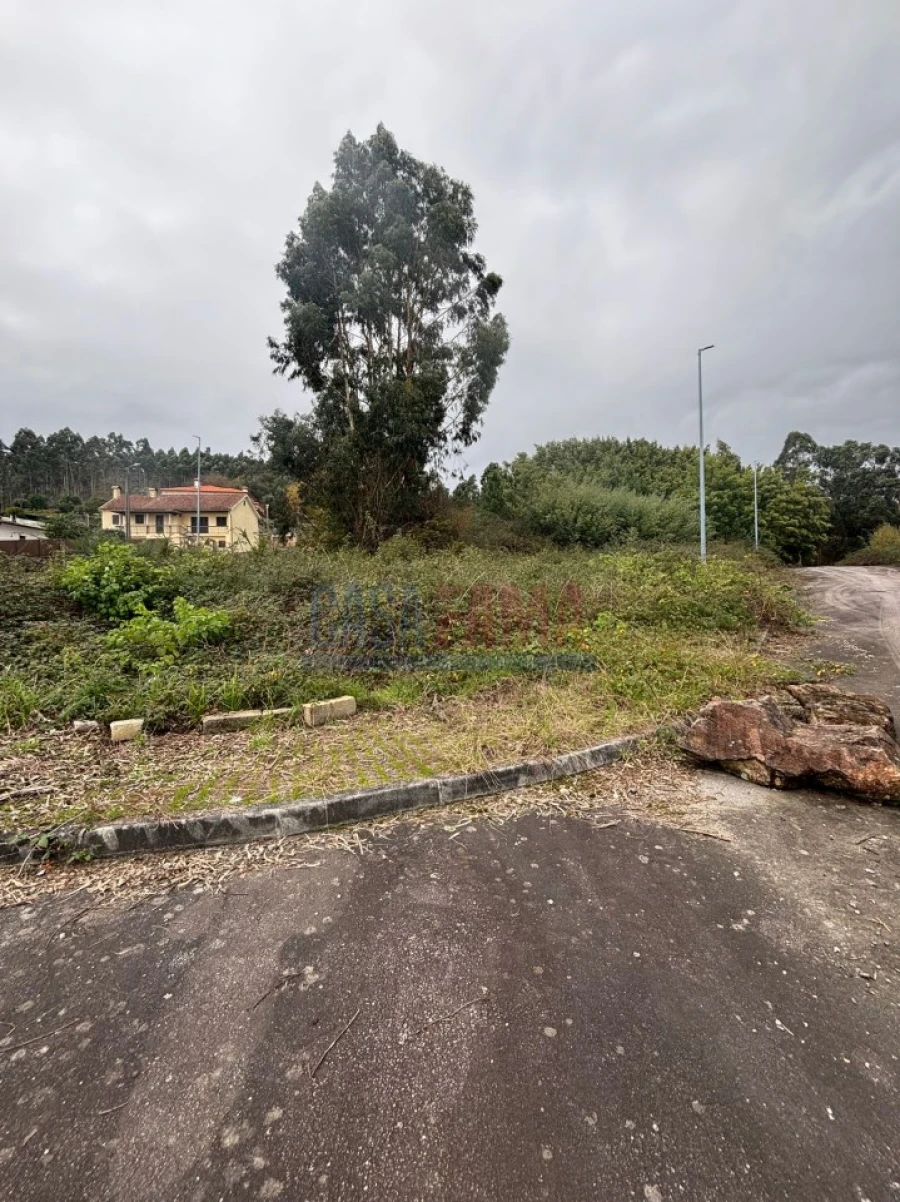 Terreno para Venda em Escariz (São Mamede) e Escariz (São Martinho) Foto 6
