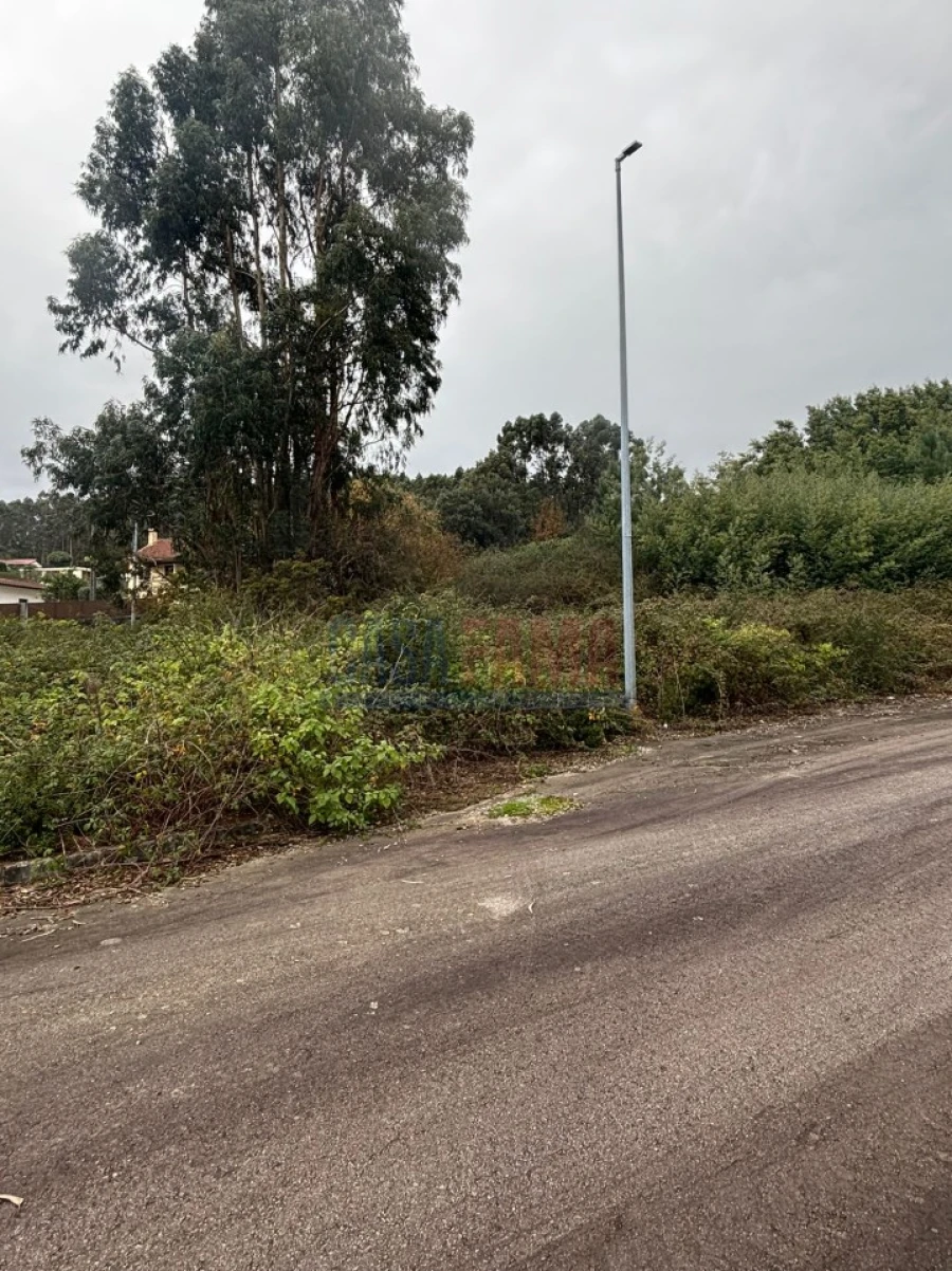 Terreno para Venda em Escariz (São Mamede) e Escariz (São Martinho) Foto 18