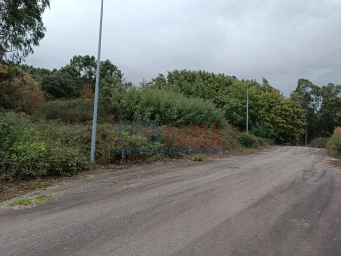 Terreno para Venda em Escariz (São Mamede) e Escariz (São Martinho)