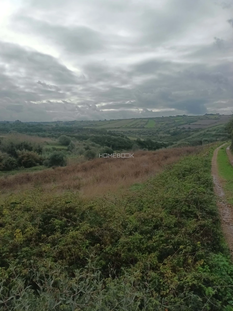 Terreno para Venda em Agualva e Mira-Sintra Foto 1