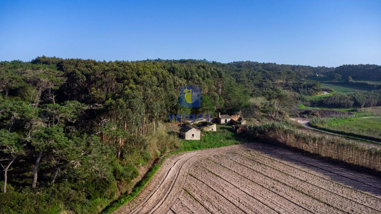 Terreno para Venda em Amoreira Foto 3