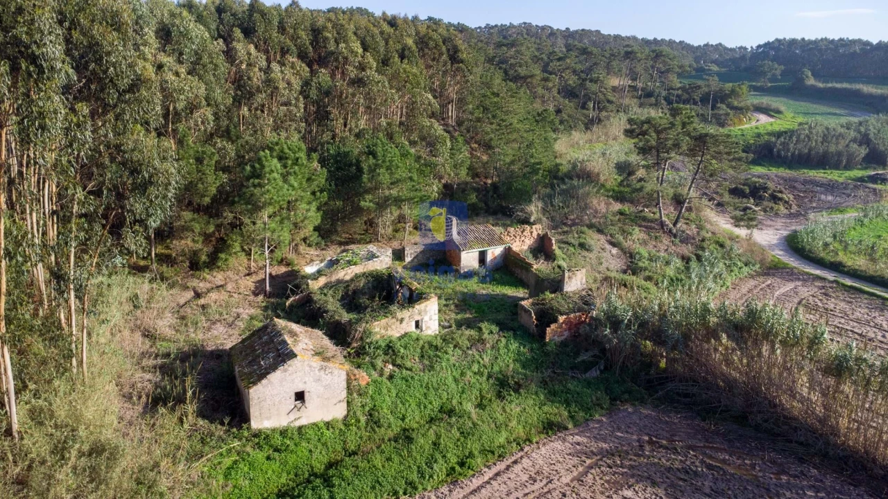 Terreno para Venda em Amoreira Foto 7