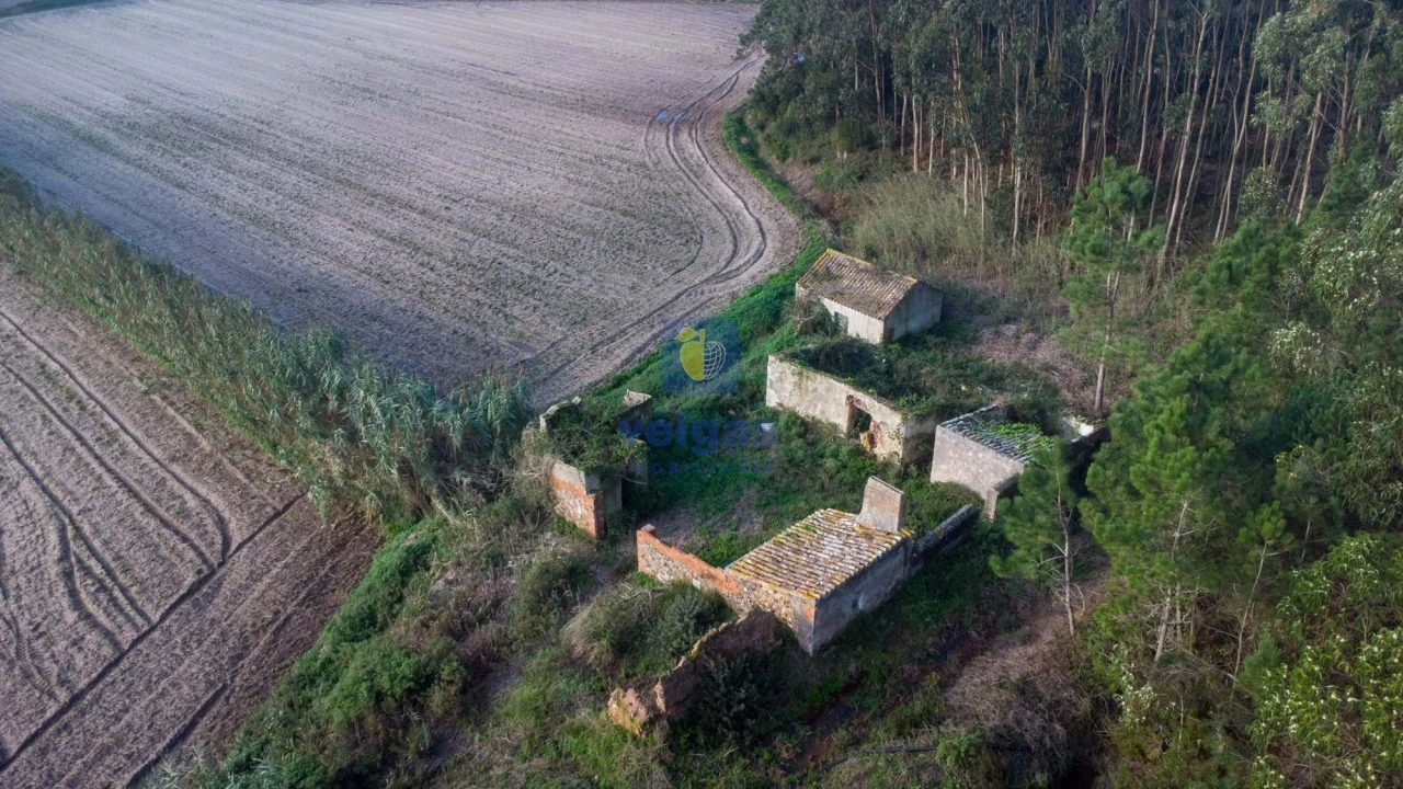 Terreno para Venda em Amoreira Foto 20
