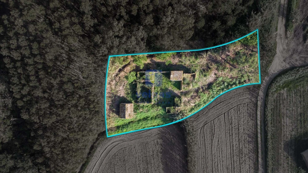 Terreno para Venda em Amoreira Foto 5