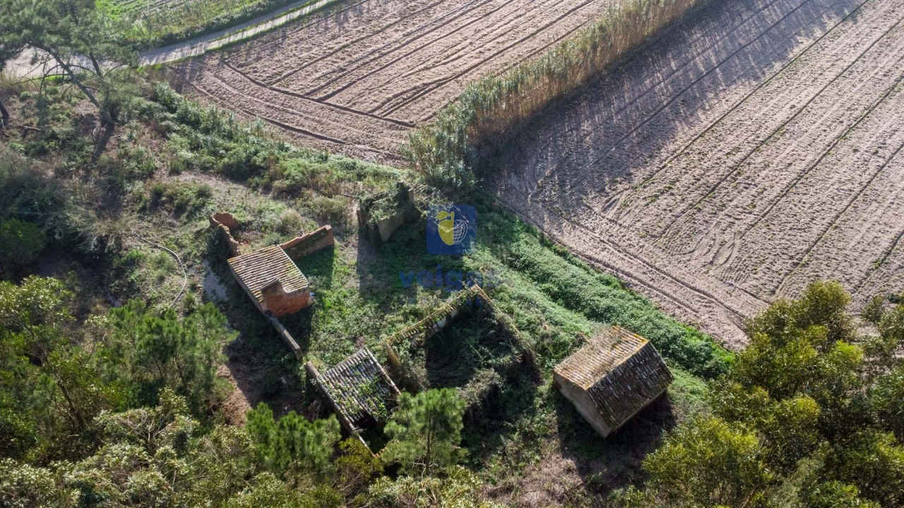 Terreno para Venda em Amoreira Foto 13