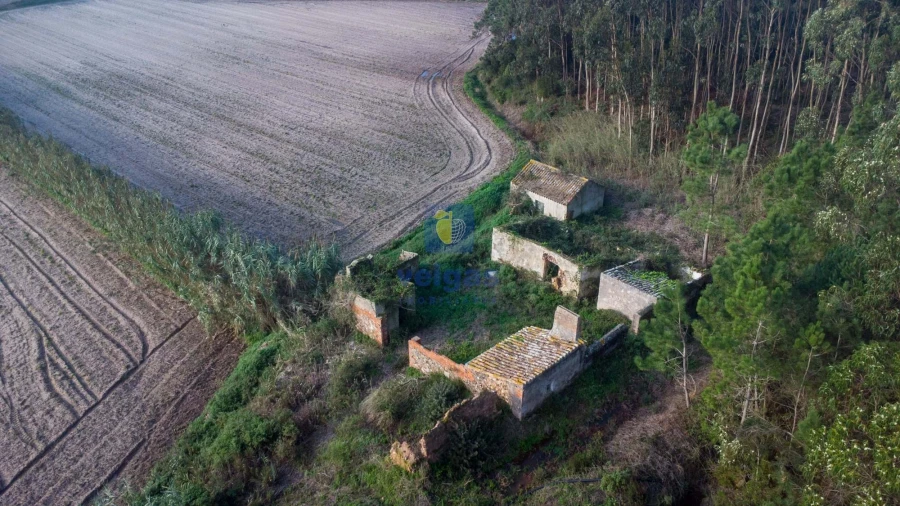 Terreno para Venda em Amoreira Foto 20