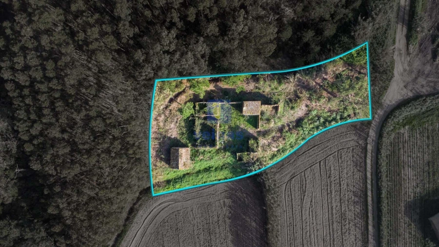 Terreno para Venda em Amoreira Foto 5