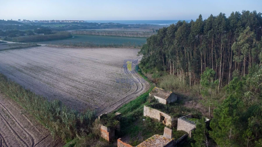 Terreno para Venda em Amoreira Foto 21