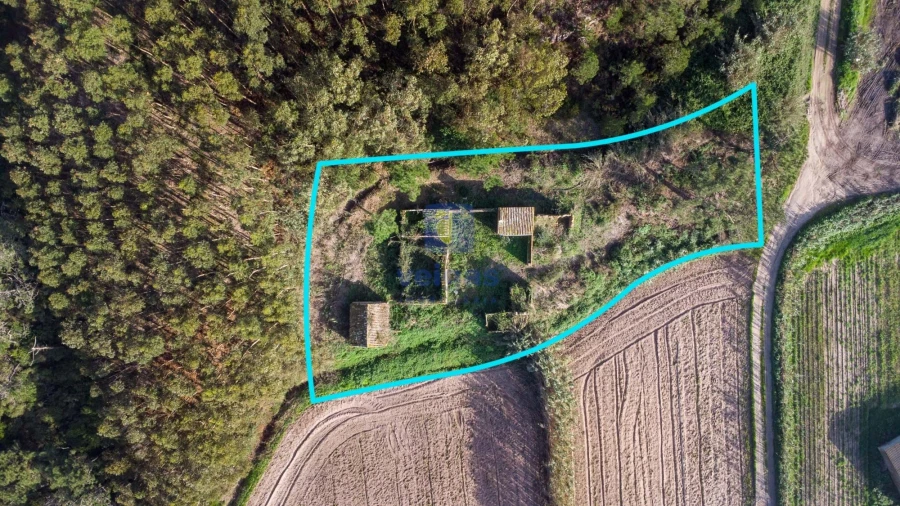 Terreno para Venda em Amoreira Foto 4