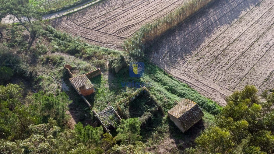 Terreno para Venda em Amoreira Foto 13
