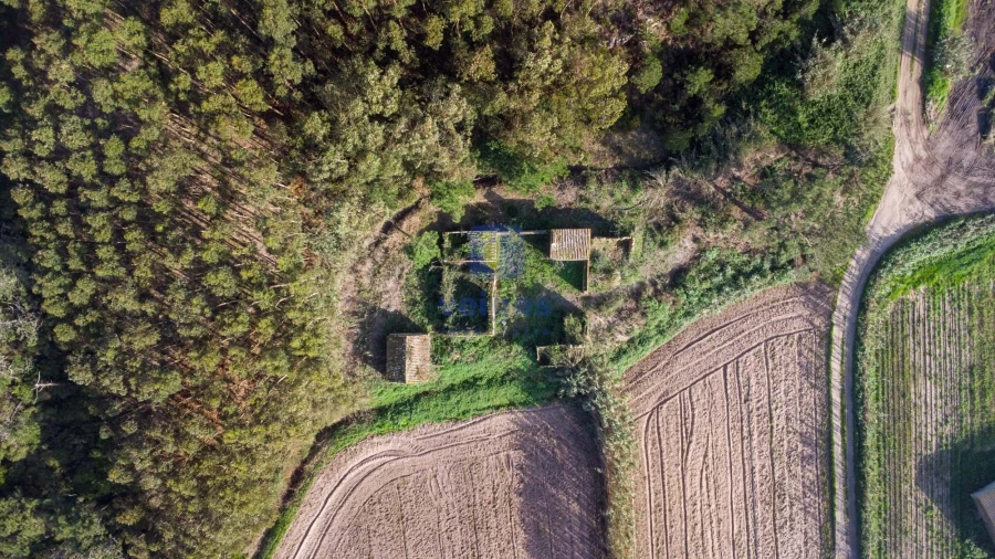 Terreno para Venda em Amoreira Foto 11