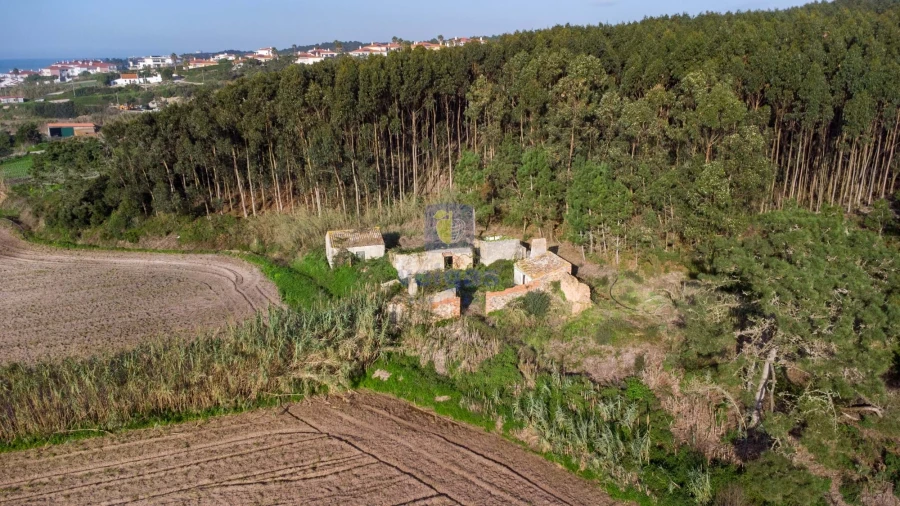 Terreno para Venda em Amoreira Foto 1