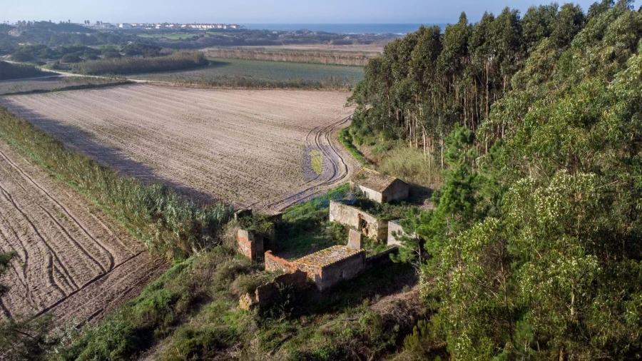 Terreno para Venda em Amoreira Foto 15
