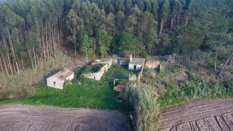 Terreno para Venda em Amoreira Foto 19