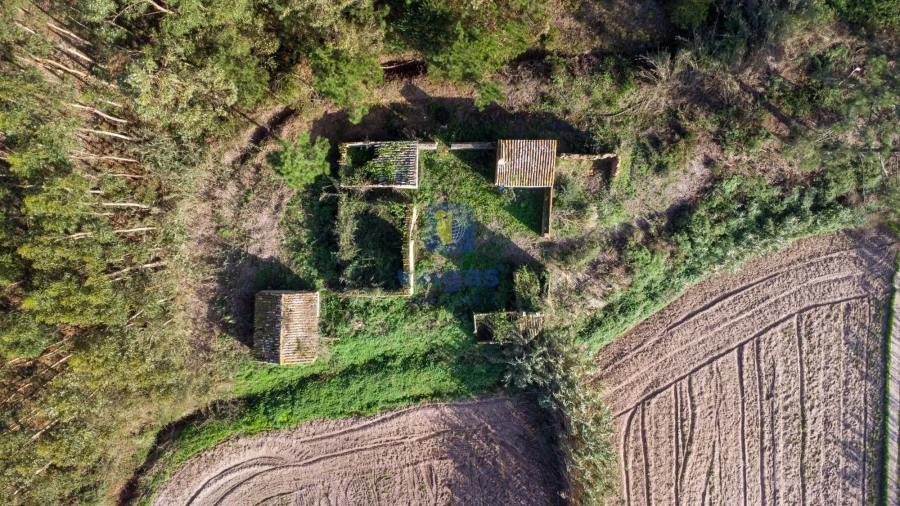 Terreno para Venda em Amoreira Foto 10