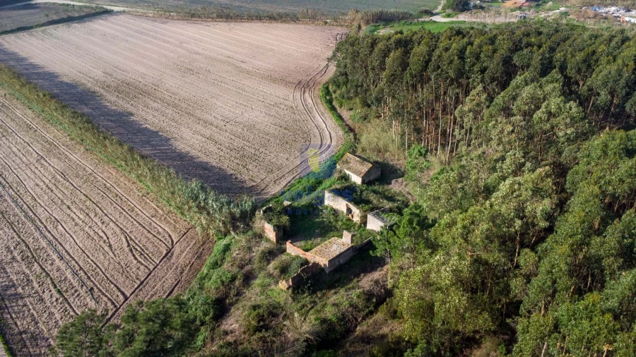 Terreno para Venda em Amoreira Foto 9