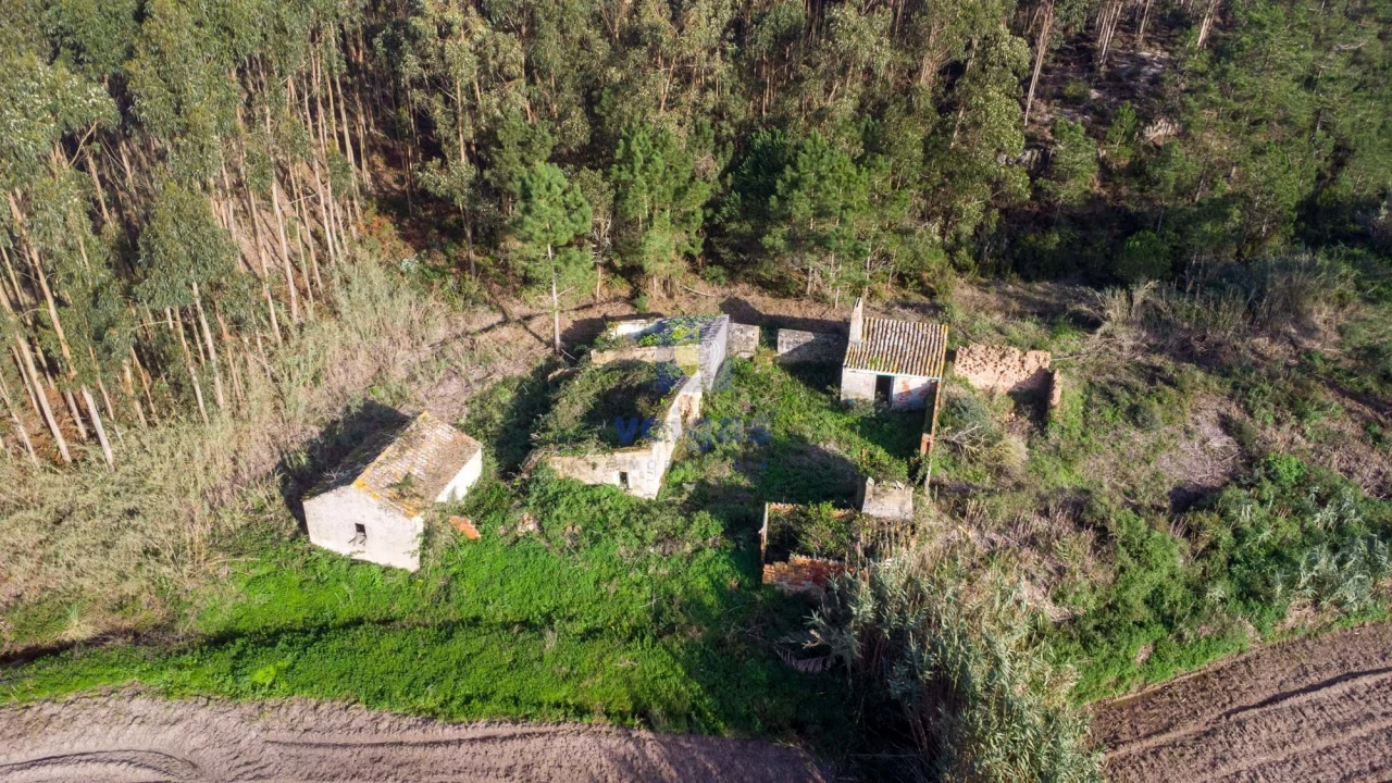 Terreno para Venda em Amoreira Foto 14