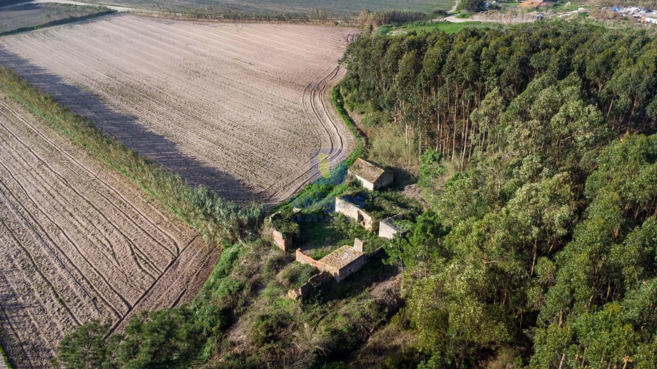 Terreno para Venda em Amoreira Foto 9