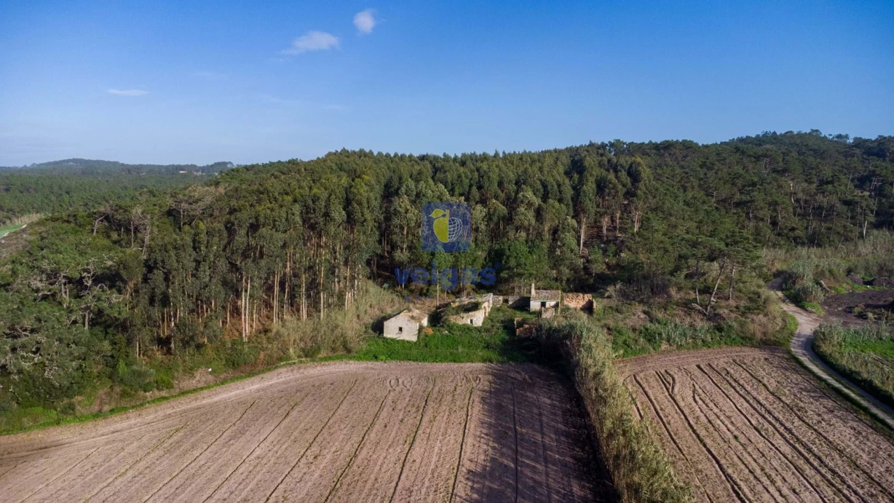 Terreno para Venda em Amoreira Foto 6