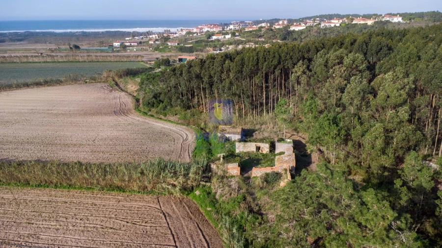 Moradia T1 para Venda em Amoreira