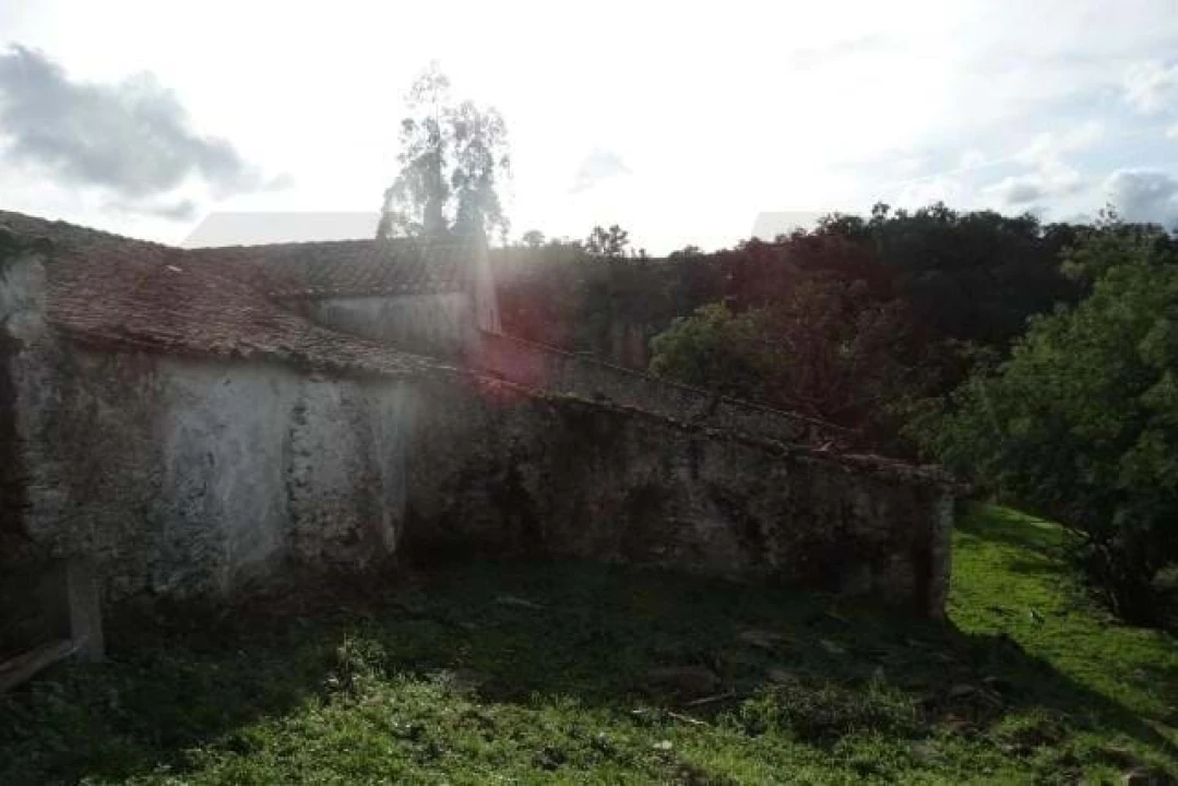 Terreno para Venda em Santana da Serra Foto 23