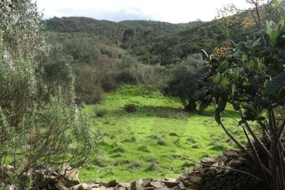 Terreno para Venda em Santana da Serra Foto 16