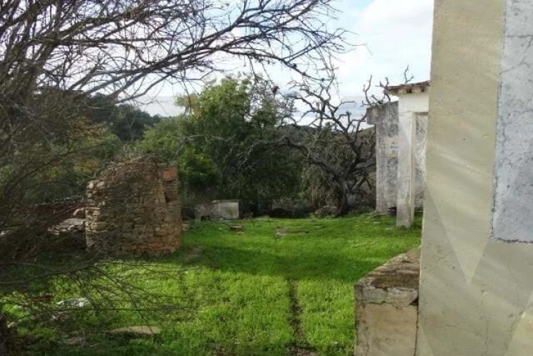 Terreno para Venda em Santana da Serra Foto 18