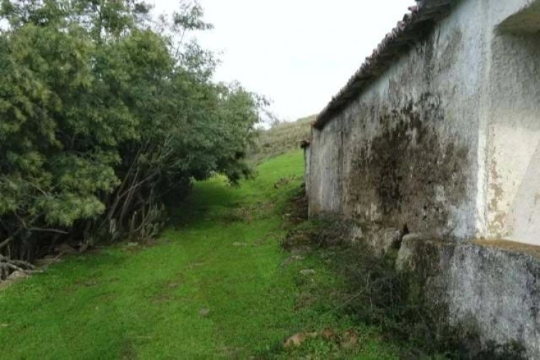 Terreno para Venda em Santana da Serra Foto 21