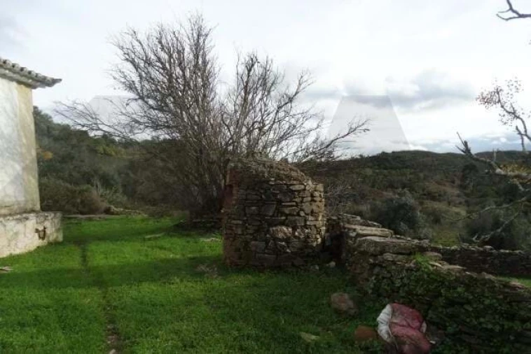 Terreno para Venda em Santana da Serra Foto 14
