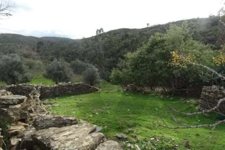 Terreno para Venda em Santana da Serra Foto 15