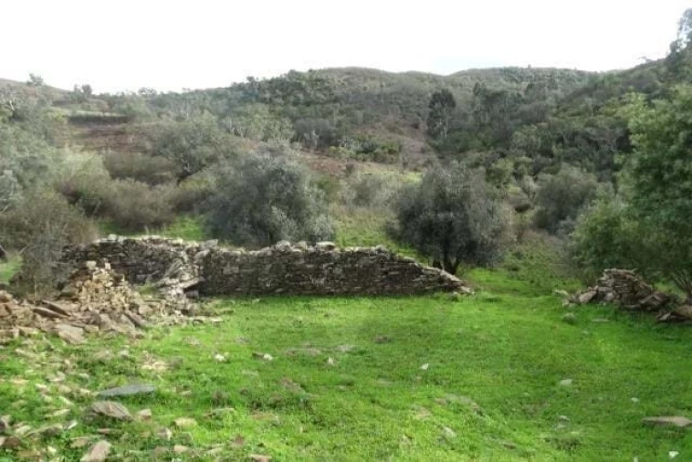 Terreno para Venda em Santana da Serra Foto 20