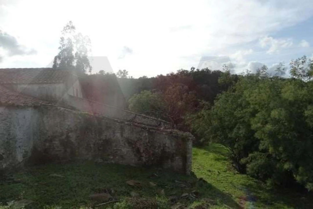 Terreno para Venda em Santana da Serra Foto 24