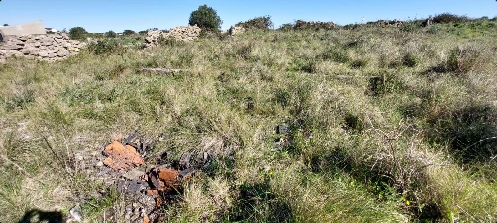 Terreno Agricola ou Rústico para Venda em Agualva e Mira-Sintra Foto 8