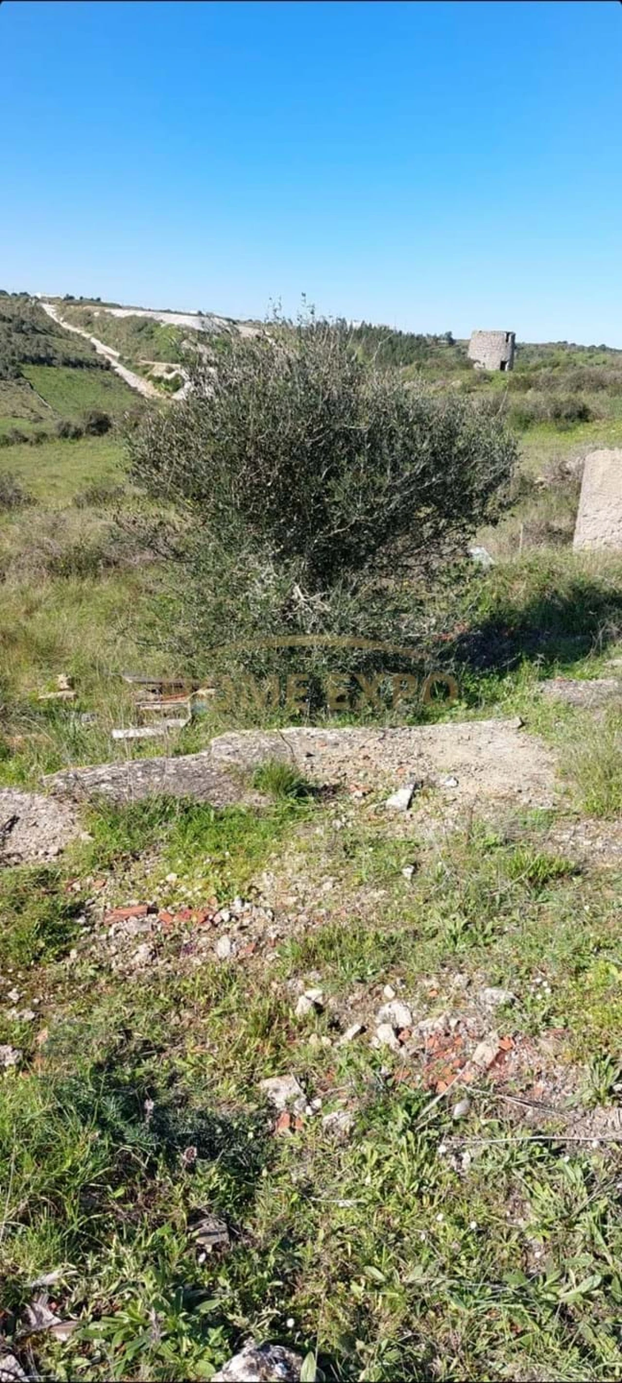 Terreno Agricola ou Rústico para Venda em Agualva e Mira-Sintra Foto 11