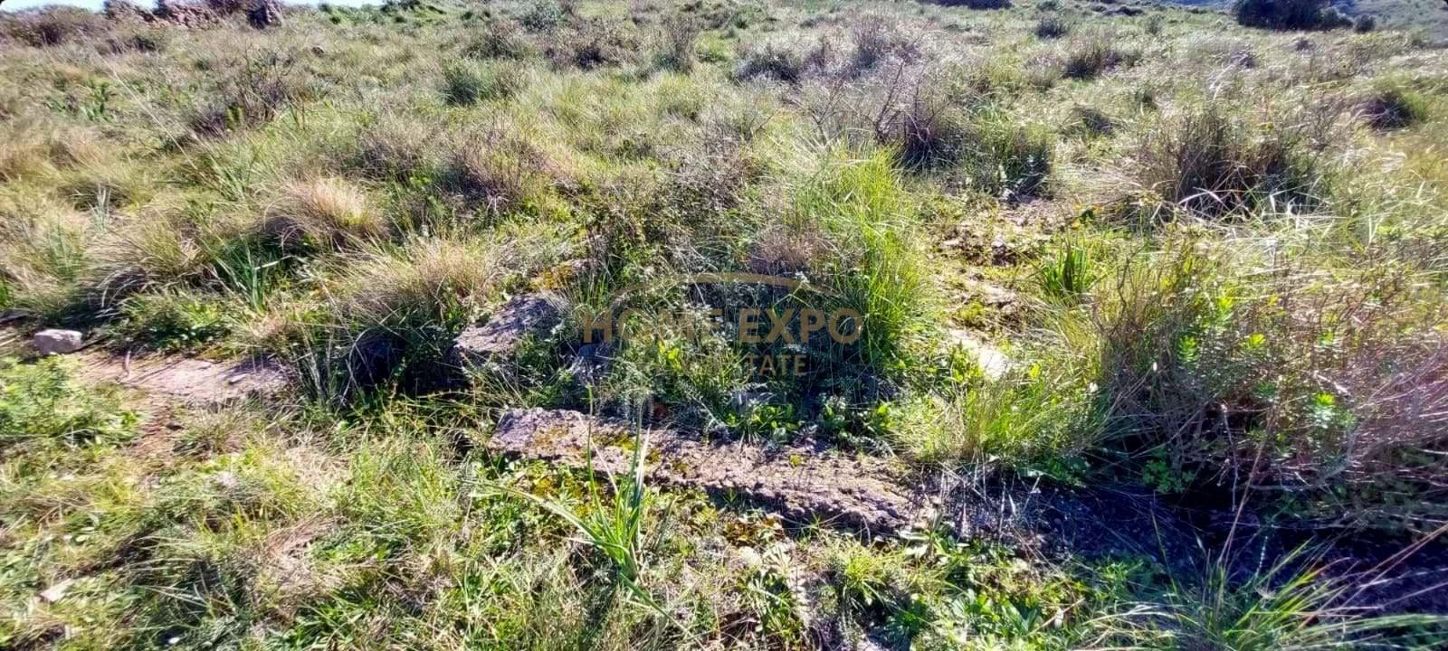 Terreno Agricola ou Rústico para Venda em Agualva e Mira-Sintra Foto 6